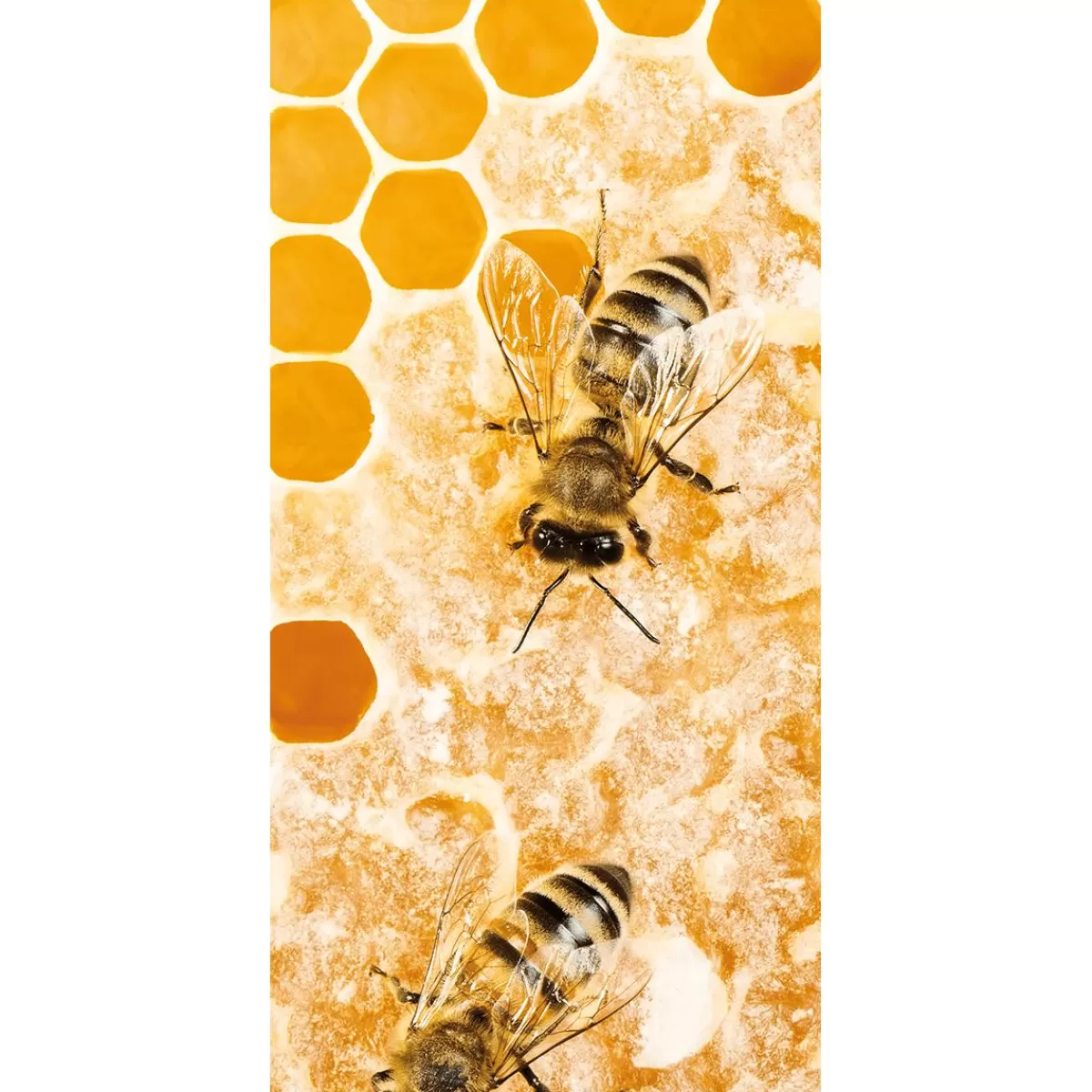 DecoWoerner Flame Retardant Fabric Banner "busy Honey Bee" Made Of Flag Fabric 100 X 200 Cm