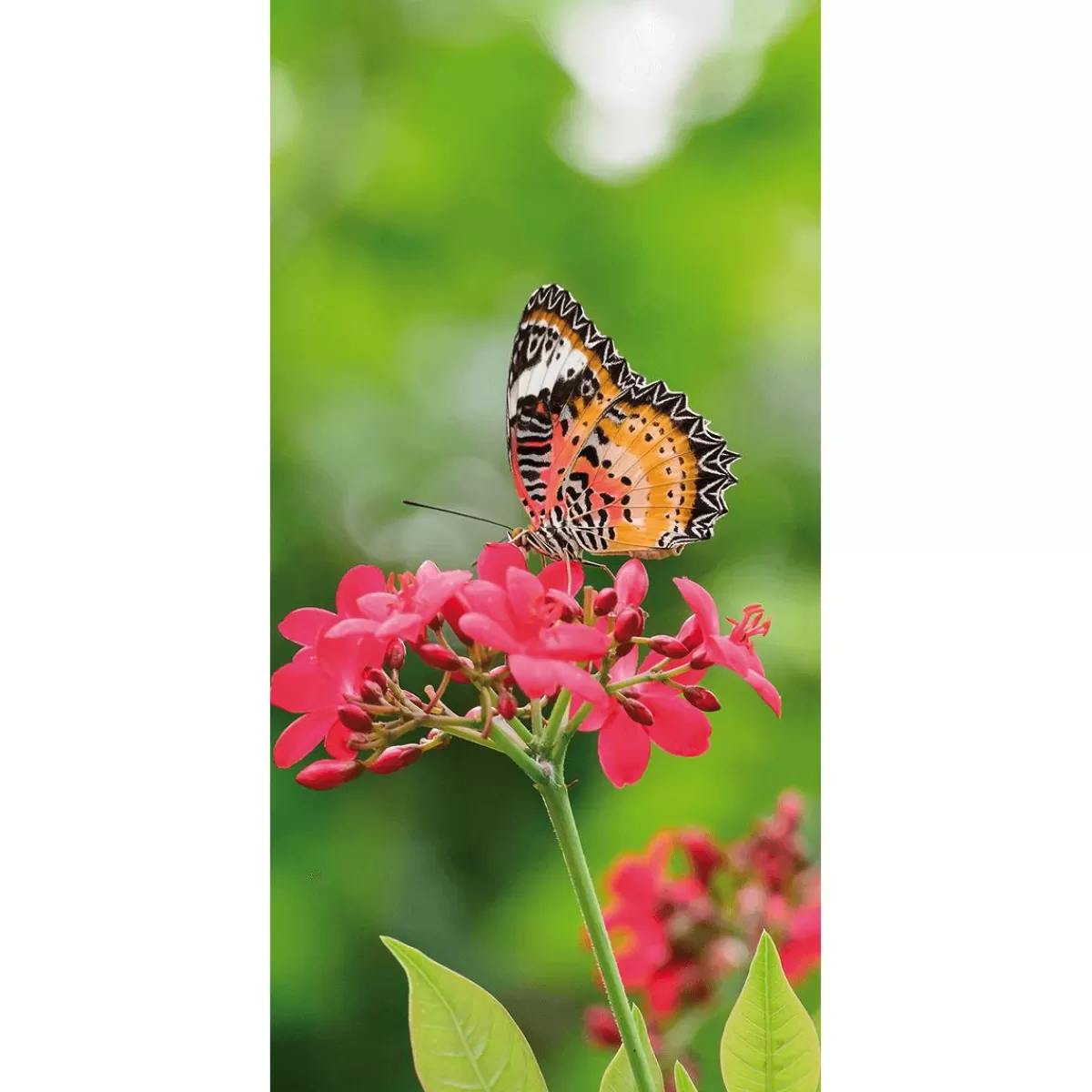 DecoWoerner Flame Retardant Fabric Banner "Butterfly On Flower" In Banner Fabric 100 X 200 Cm