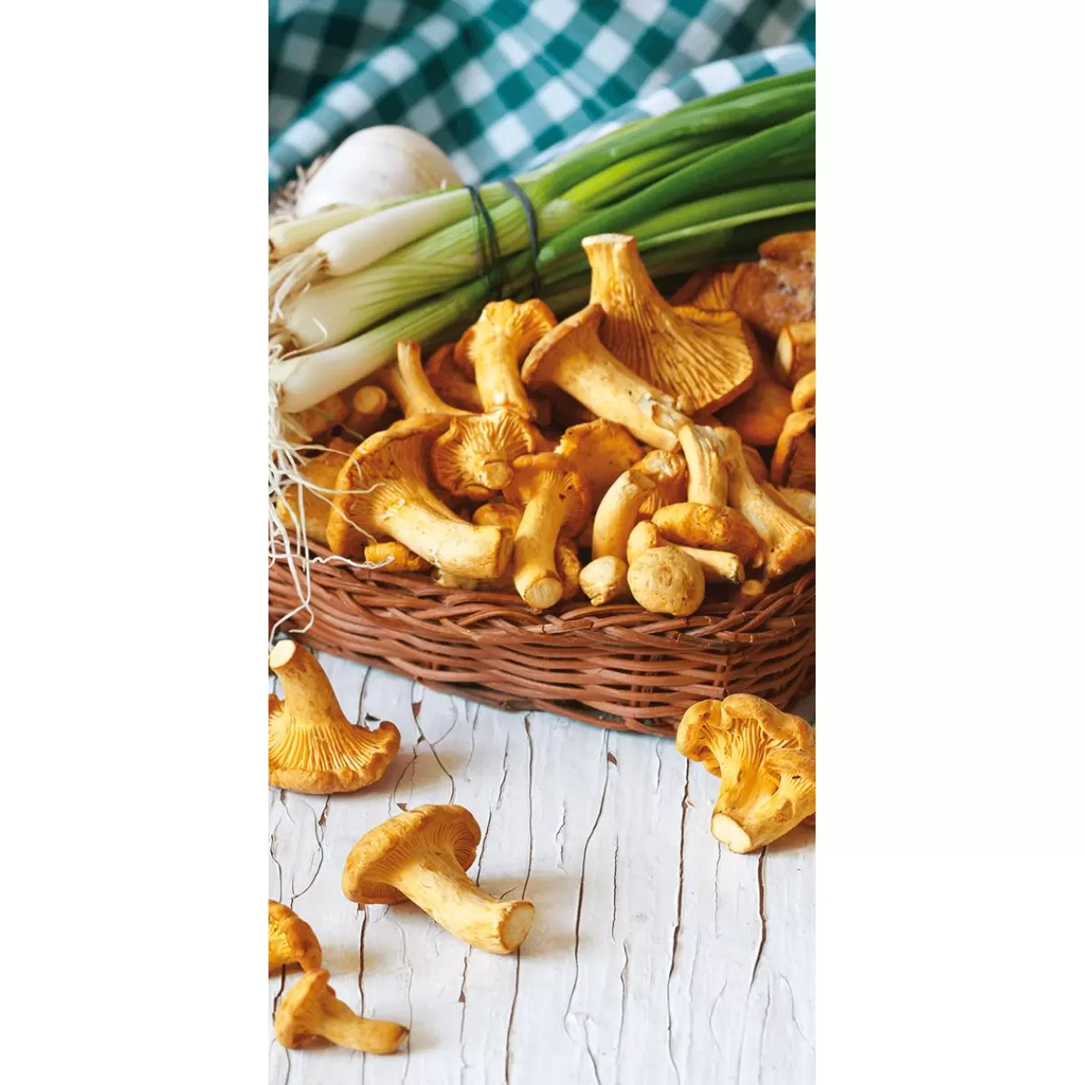 DecoWoerner Flame Retardant Fabric Banner "Chanterelle Mushrooms" Made Of Flag Fabric 100 X 200 Cm