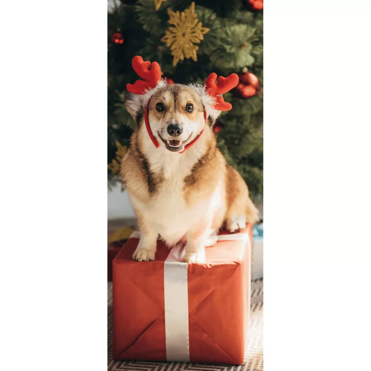 DecoWoerner Flame Retardant Fabric Banner "Christmas Dog Corgi" Made Of Flag Fabric 75 X 180 Cm