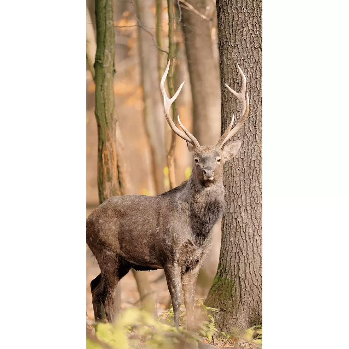 DecoWoerner Flame Retardant Fabric Banner "Deer In The Forest" Made Of Flag Fabric 100 X 200 Cm