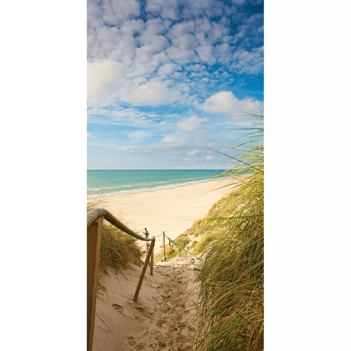 DecoWoerner Flame Retardant Fabric Banner "Dune Path To The Beach" Made Of Flag Fabric 100 X 200 Cm