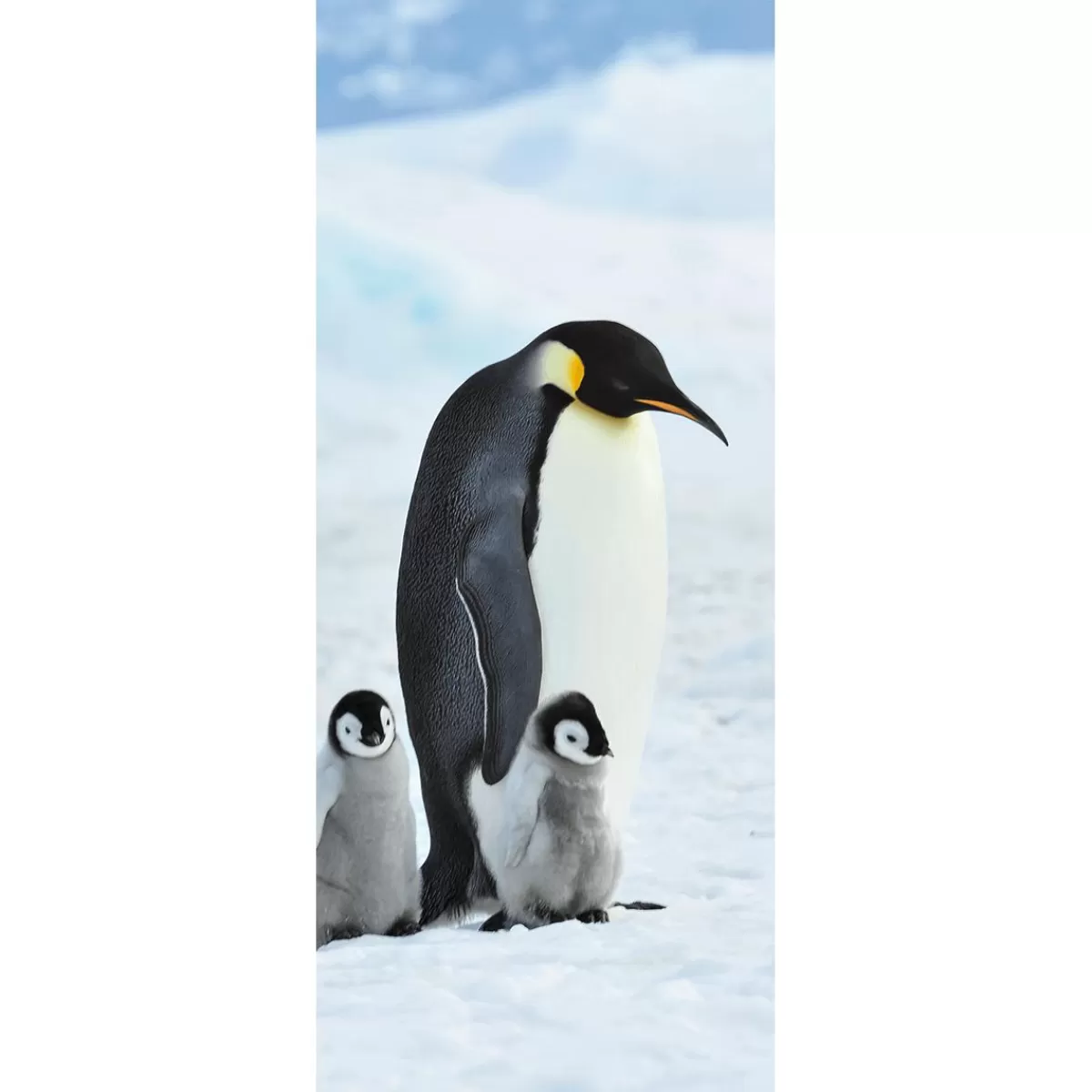 DecoWoerner Flame Retardant Fabric Banner "Emperor Penguin Family" Made Of Flag Fabric 75 X 180 Cm