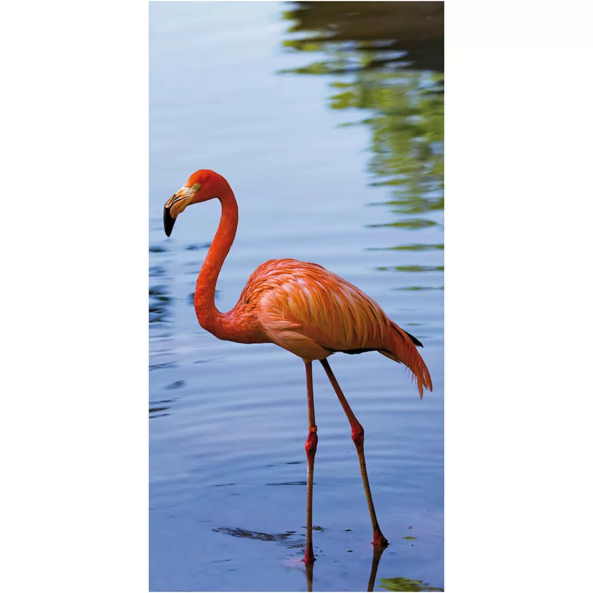 DecoWoerner Flame Retardant Fabric Banner "Flamingo" Made Of Flag Fabric 100 X 200 Cm