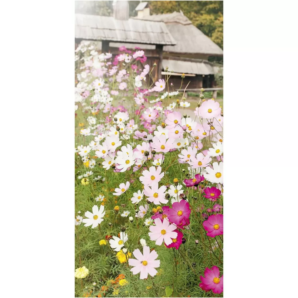 DecoWoerner Flame Retardant Fabric Banner "Flower Meadow" Made Of Flag Fabric 100 X 200 Cm