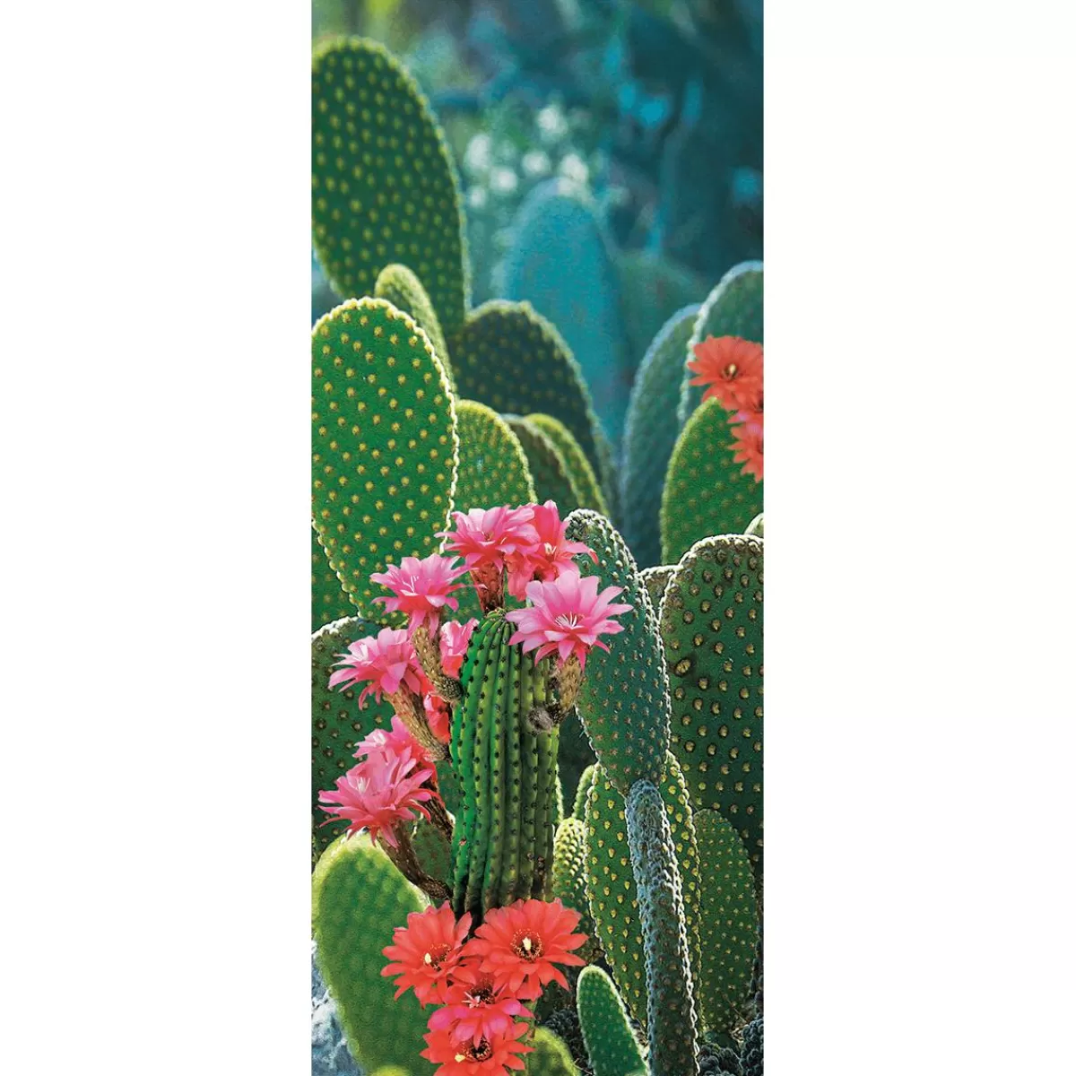 DecoWoerner Flame Retardant Fabric Banner "Flowering Cacti" Made Of Flag Fabric 75 X 180 Cm