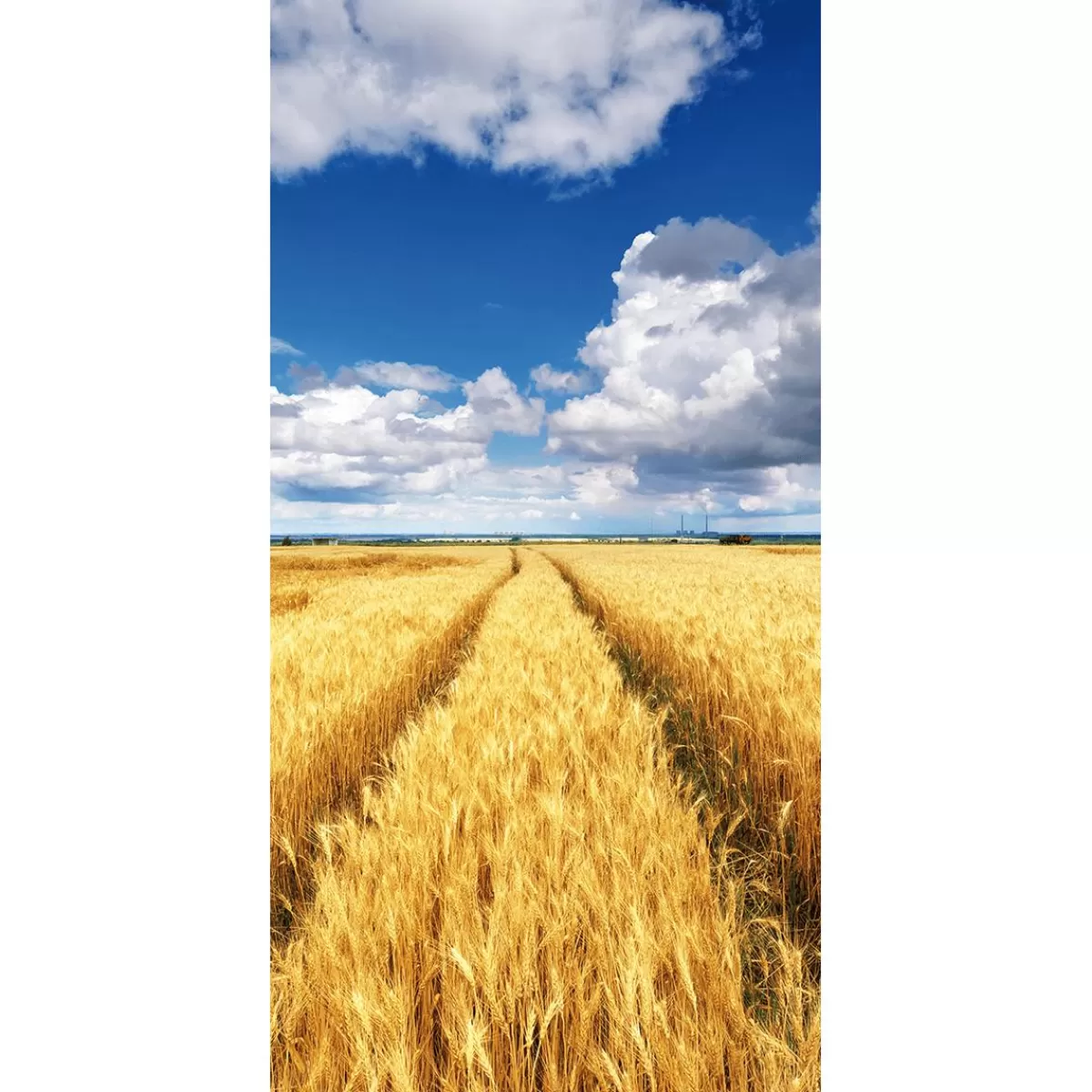 DecoWoerner Flame Retardant Fabric Banner "golden Cornfield Under A Blue Sky" Made Of Flag Fabric 100 X 200 Cm