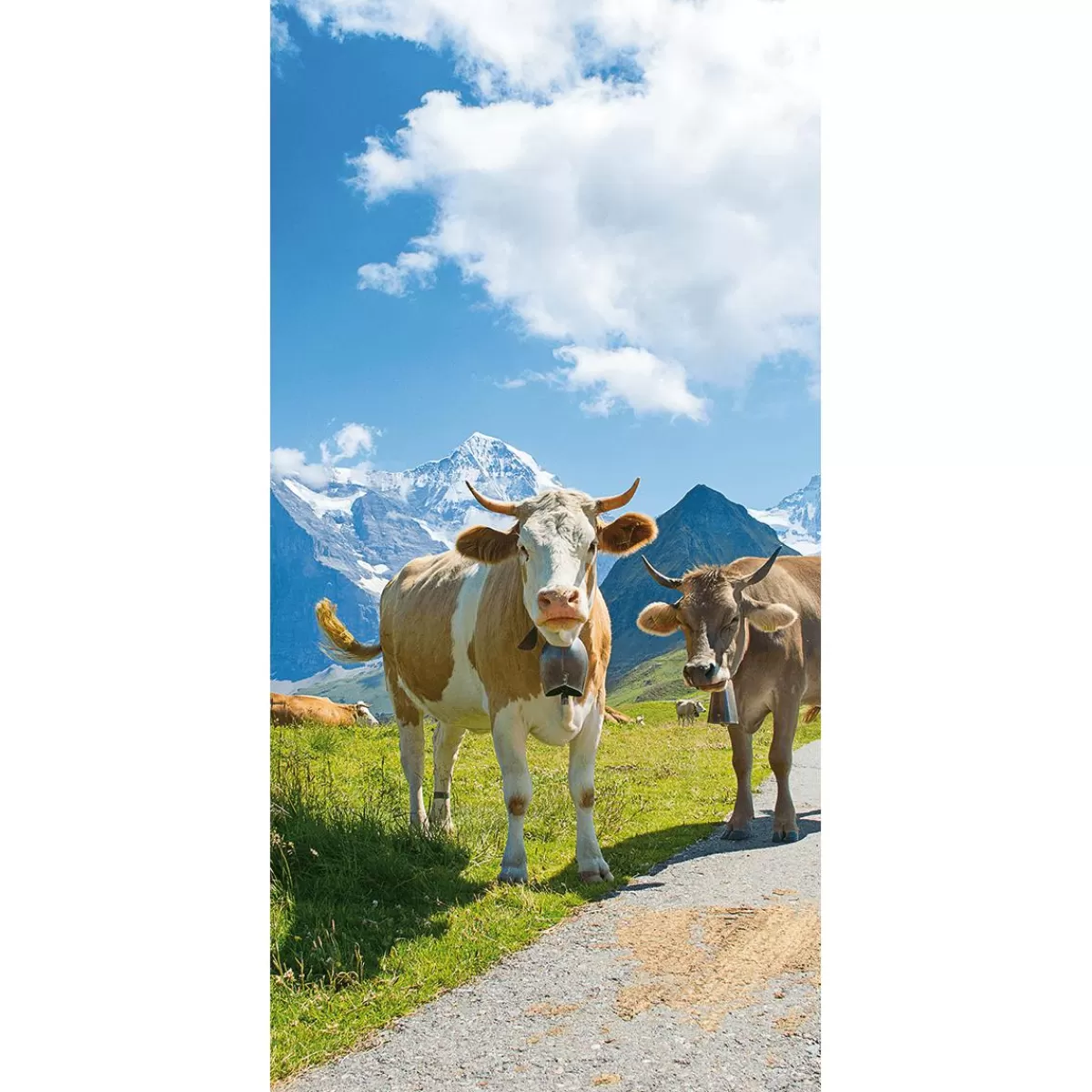 DecoWoerner Flame Retardant Fabric Banner "happy Dairy Cows In The Alps" Made Of Flag Fabric 100 X 200 Cm