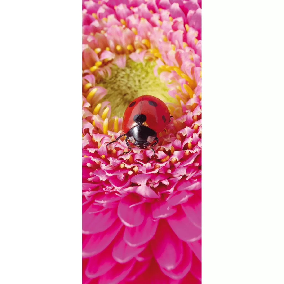 DecoWoerner Flame Retardant Fabric Banner "Ladybird On Pink Flower" Made Of Flag Fabric 75 X 180 Cm