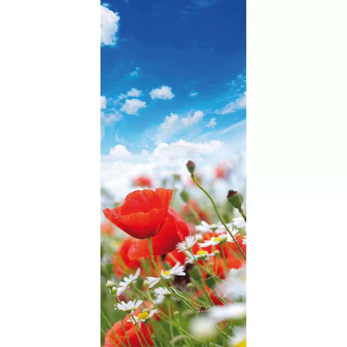 DecoWoerner Flame Retardant Fabric Banner "Meadow With Poppies And Daisies" Made Of Flag Fabric 75 X 180 Cm