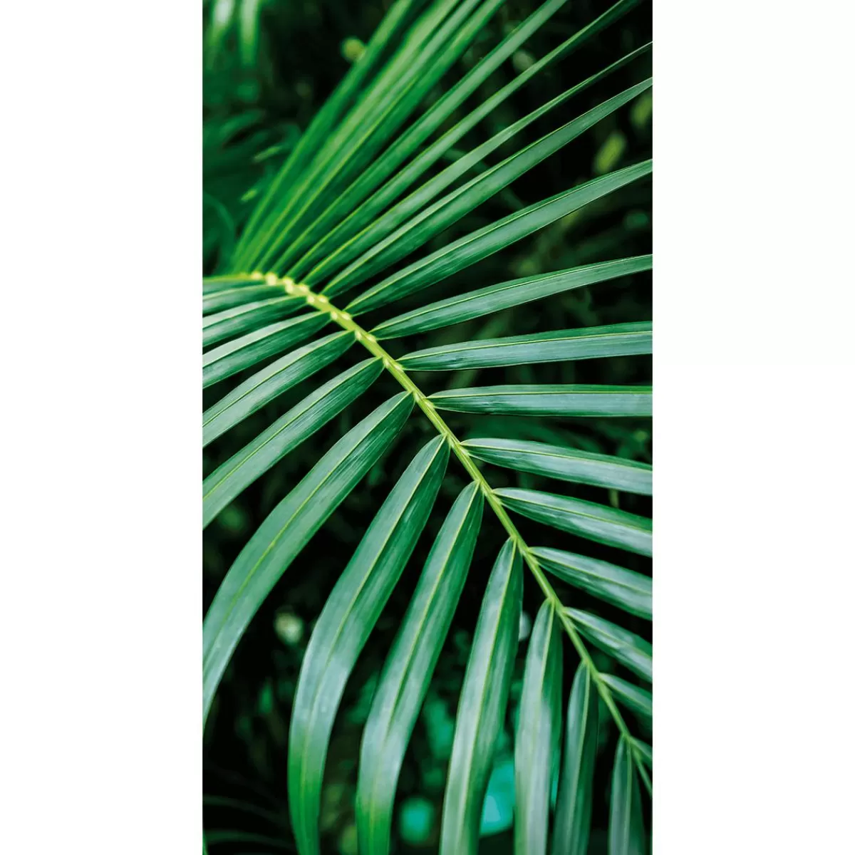 DecoWoerner Flame Retardant Fabric Banner "Palm Frond" Made Of Flag Fabric 100 X 200 Cm