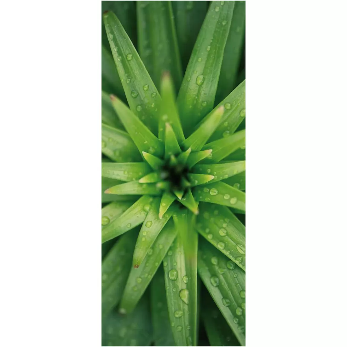 DecoWoerner Flame Retardant Fabric Banner "Pineapple Leaves" Made Of Flag Fabric 75 X 180 Cm