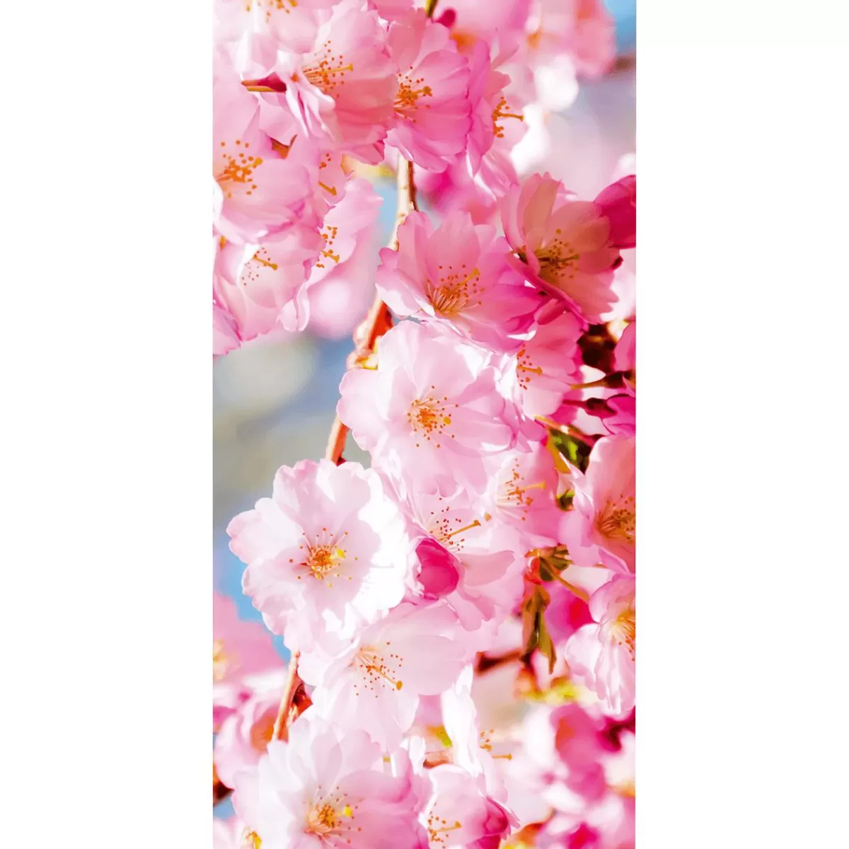 DecoWoerner Flame Retardant Fabric Banner " Cherry Blossoms" Made Of Flag Fabric 100 X 200 Cm