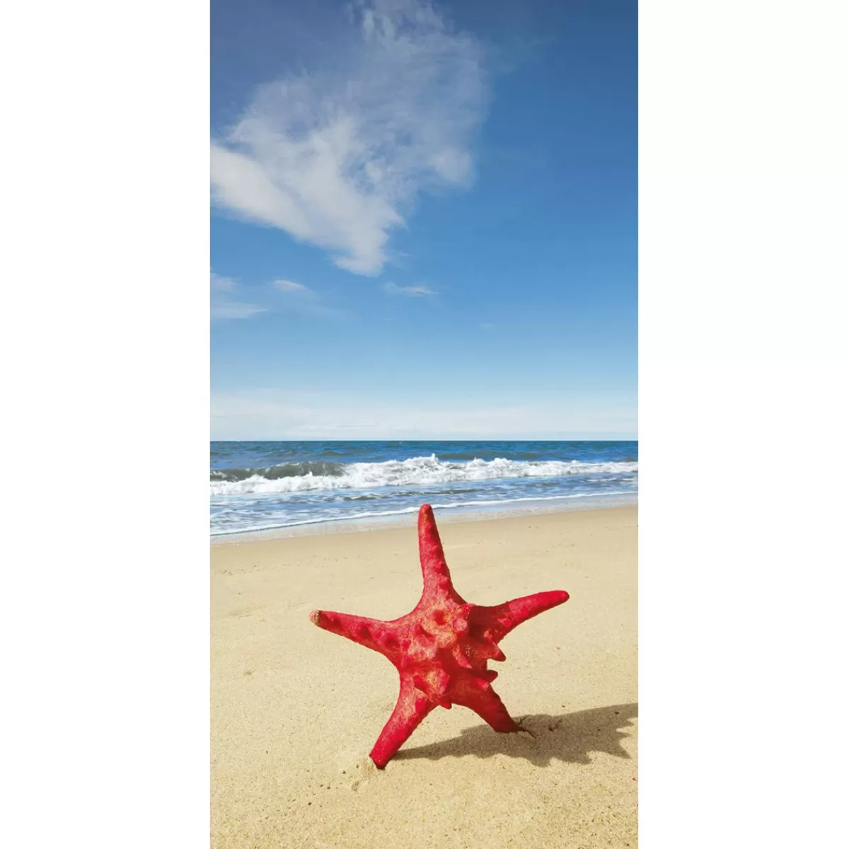 DecoWoerner Flame Retardant Fabric Banner " Starfish By The Sea" Made Of Flag Fabric 100 X 200 Cm