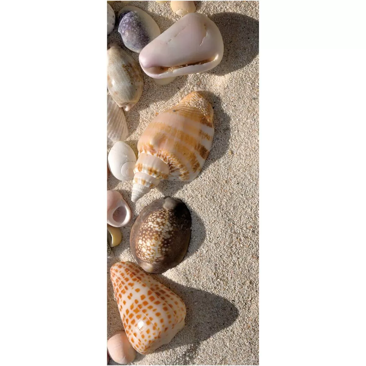 DecoWoerner Flame Retardant Fabric Banner "Shells In The Sand" Made Of Flag Fabric 75 X 180 Cm