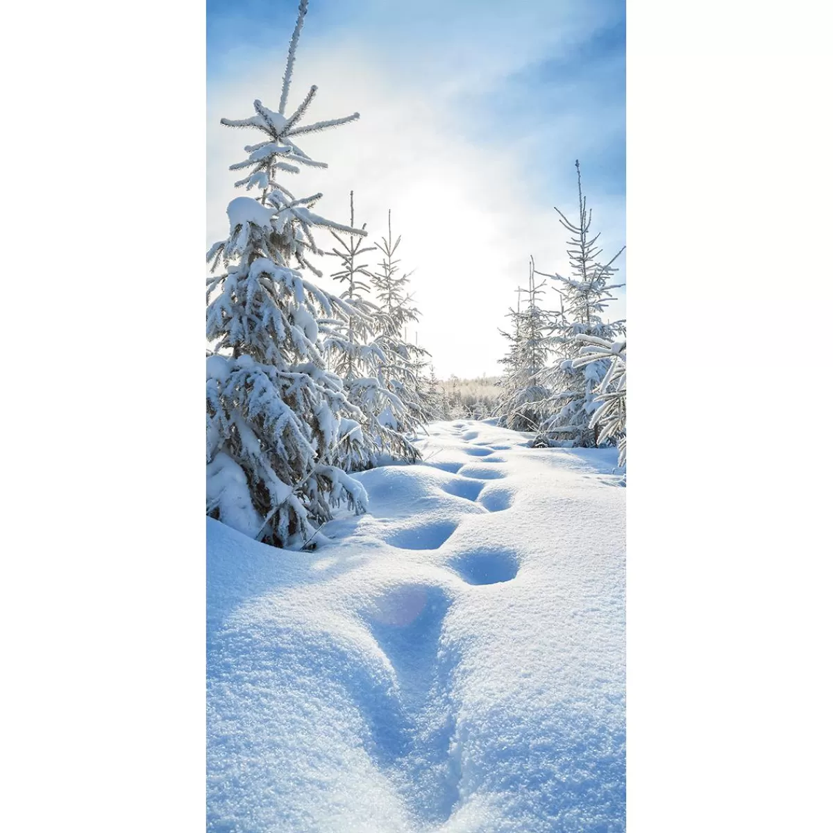 DecoWoerner Flame Retardant Fabric Banner "Snow Forest" Made Of Flag Fabric 100 X 200 Cm