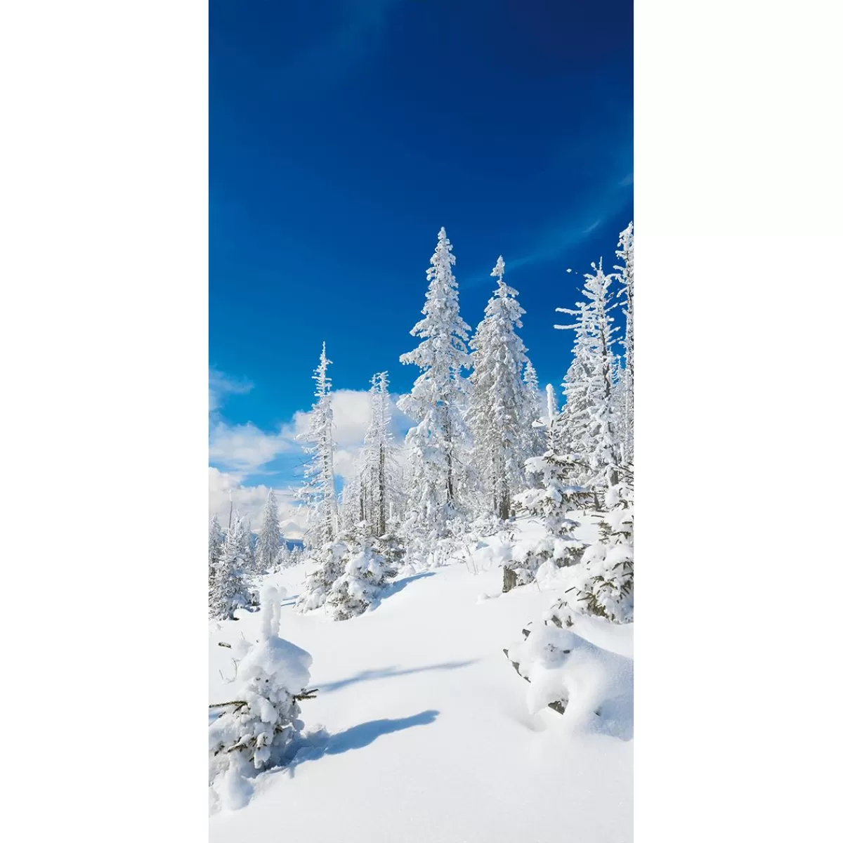 DecoWoerner Flame Retardant Fabric Banner "Snowy Winter Firs" Made Of Flag Fabric 100 X 200 Cm