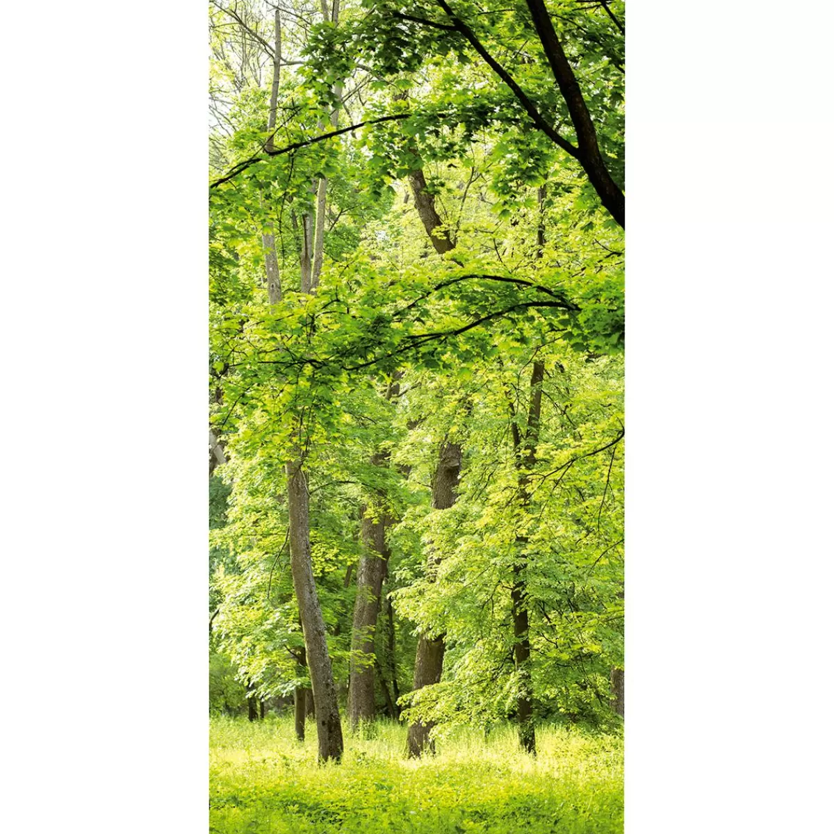 DecoWoerner Flame Retardant Fabric Banner "Spring Forest" Made Of Flag Fabric 100 X 200 Cm