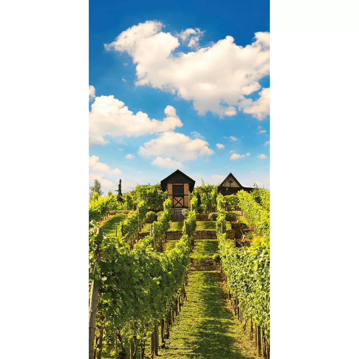 DecoWoerner Flame Retardant Fabric Banner "Sunny Vineyard" Made Of Flag Fabric 100 X 200 Cm