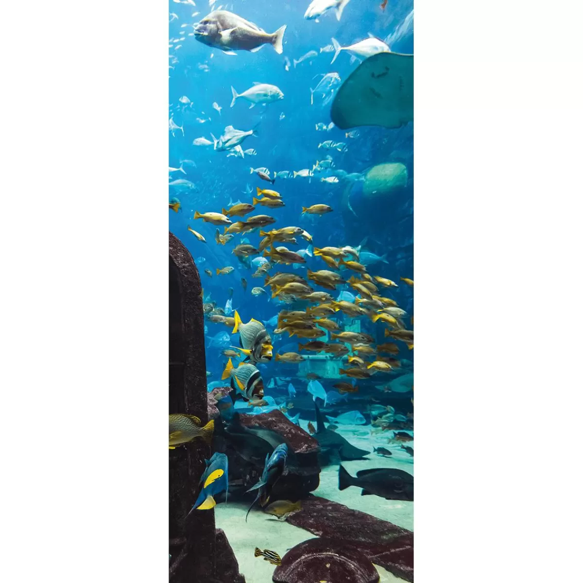 DecoWoerner Flame Retardant Fabric Banner "Underwater Landscape In The Aquarium" Made Of Flag Fabric 75 X 180 Cm