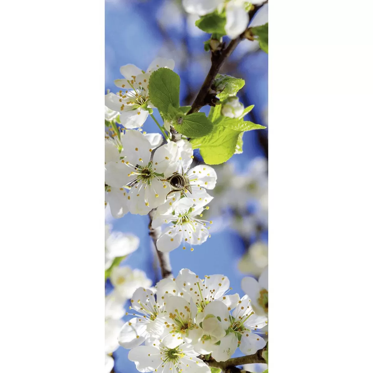 DecoWoerner Flame Retardant Fabric Banner " Apple Blossoms With Bee" Made Of Flag Fabric 75 X 180 Cm