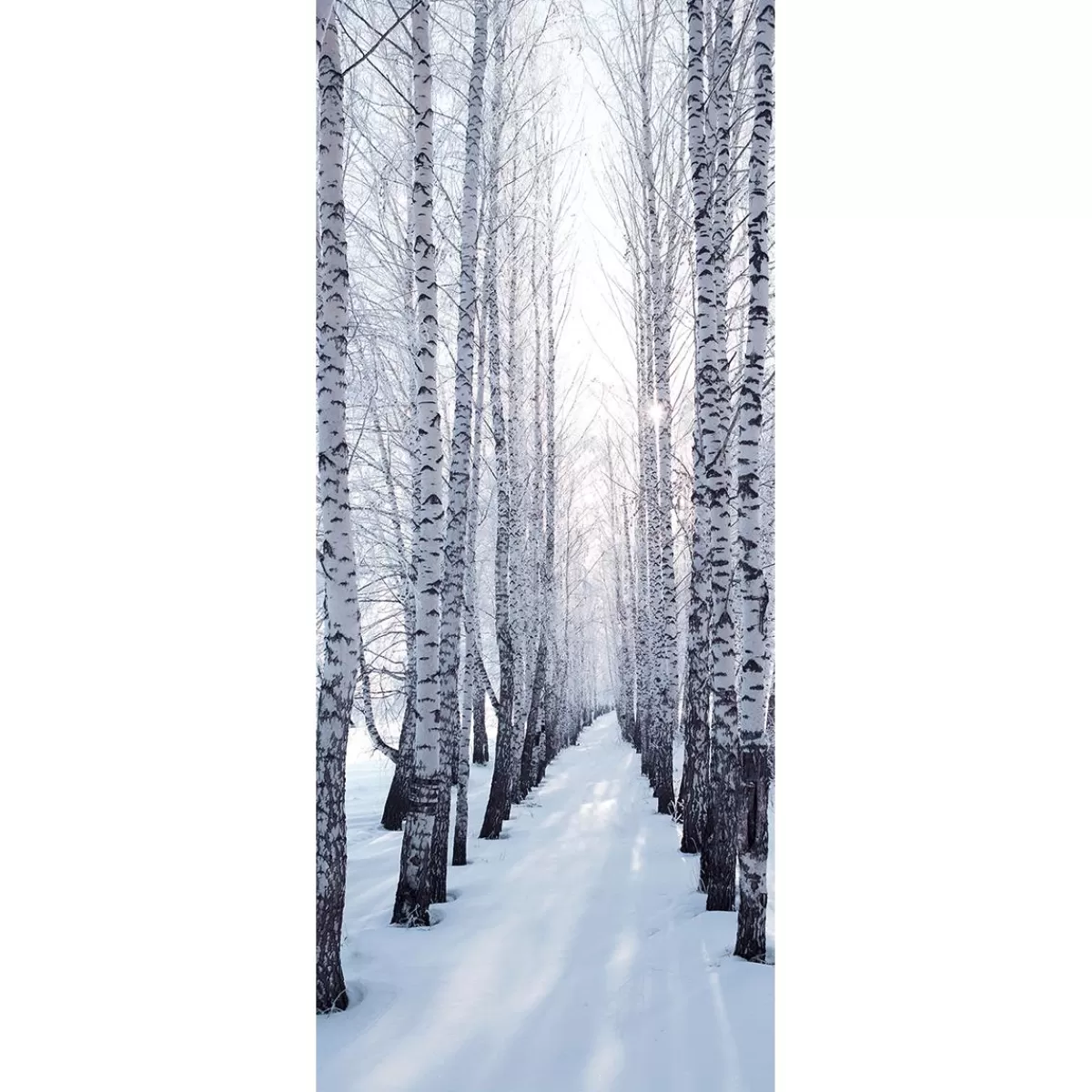 DecoWoerner Flame Retardant Fabric Banner "Winter Birch Avenue" Made Of Flag Fabric 75 X 180 Cm