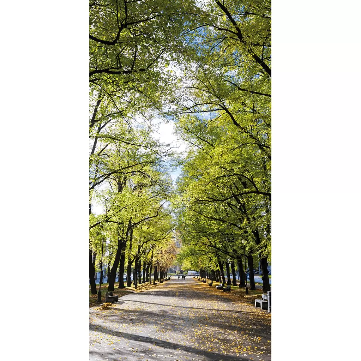 DecoWoerner Flame-retardant Fabric Banner "Avenue In The Park" Made Of Flag Fabric 100 X 200 Cm