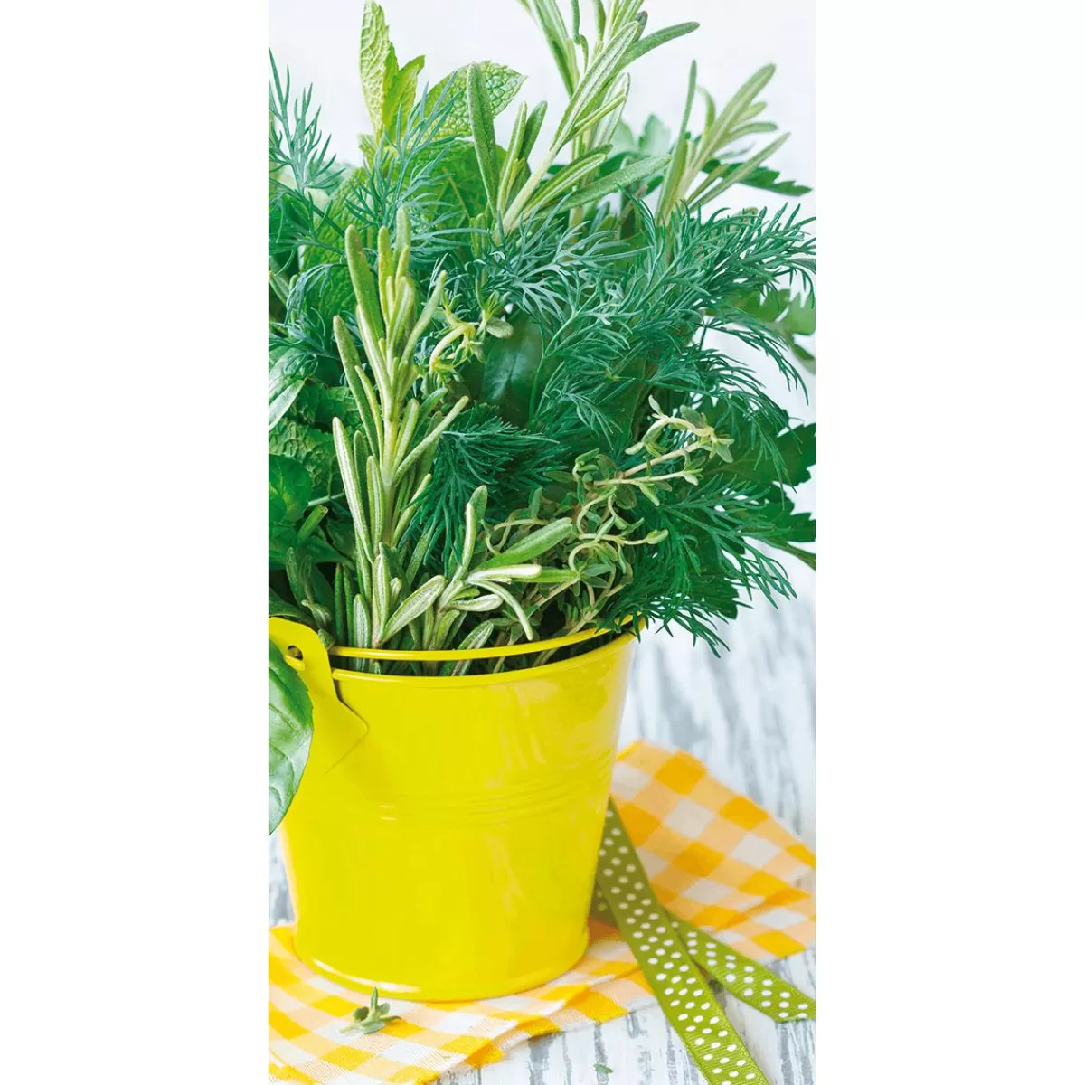 DecoWoerner Flame-retardant Fabric Banner "Herb Pot" Made Of Flag Fabric 100 X 200 Cm