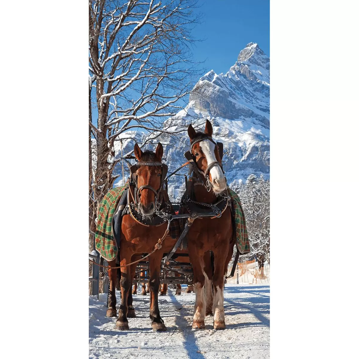 DecoWoerner Flame-retardant Fabric Banner Horse-drawn Carriage In The Snow Made Of Flag Fabric 100 X 200 Cm