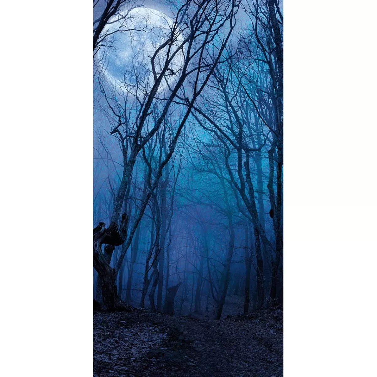 DecoWoerner Flame-retardant Fabric Banner "Night Forest Under A Full Moon" Made Of Flag Fabric 100 X 200 Cm