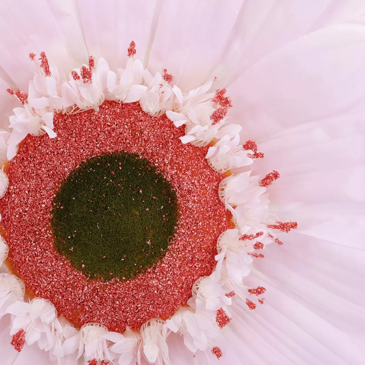 DecoWoerner Giant Gerbera Flower, 45 Cm Ø,