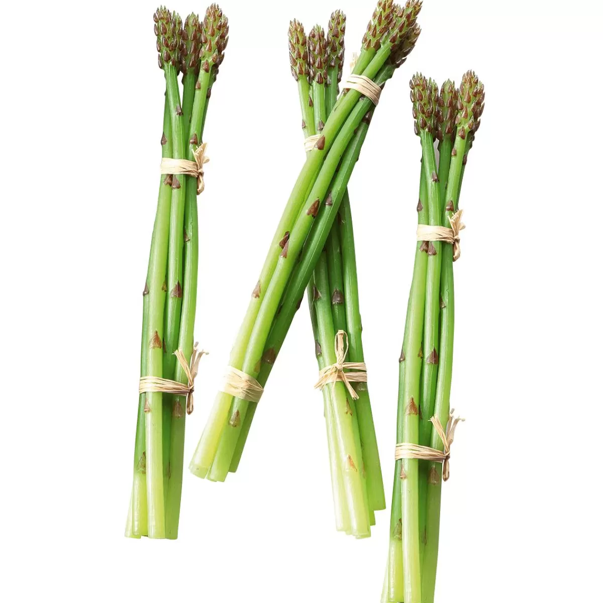 DecoWoerner Asparagus Food Replica, Package With 4 Pieces