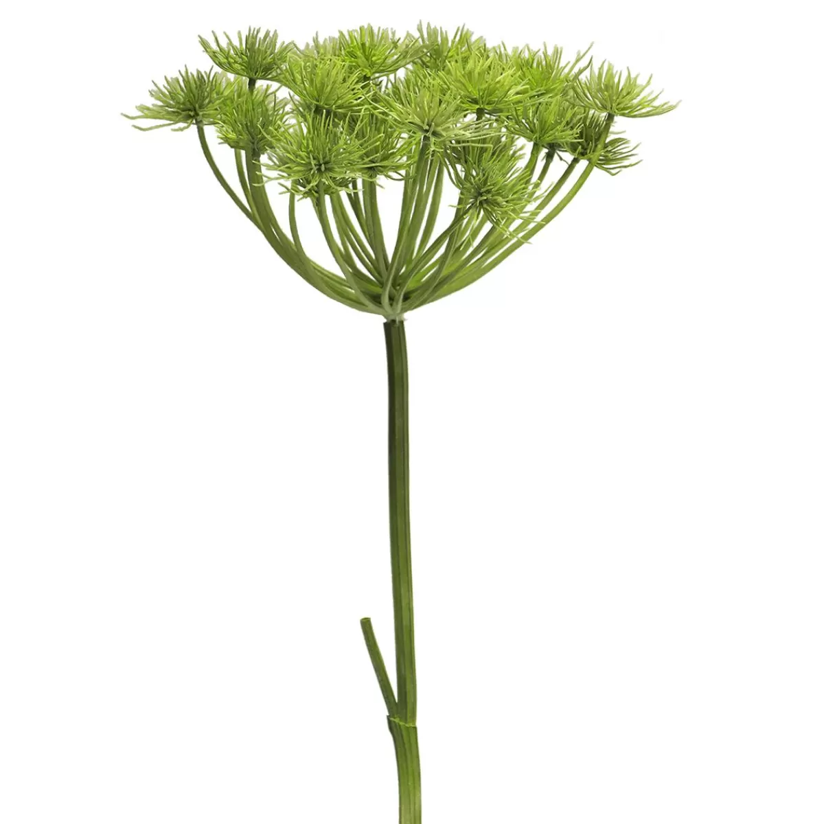 DecoWoerner Heracleum Giant Hogweed Artificial Plant 98 Cm