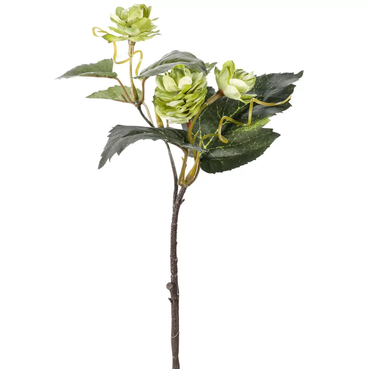 DecoWoerner Hops Artificial Branches 3 Piece Set 10 X 5 X 28 Cm