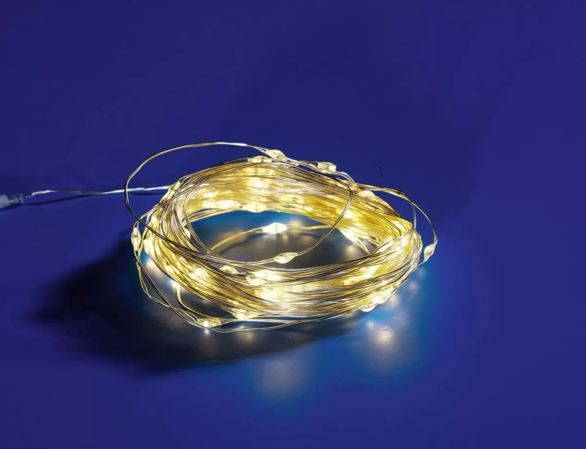 DecoWoerner LED Battery Wire Rope Light For Outdoor Use, 100 LED, 10 M