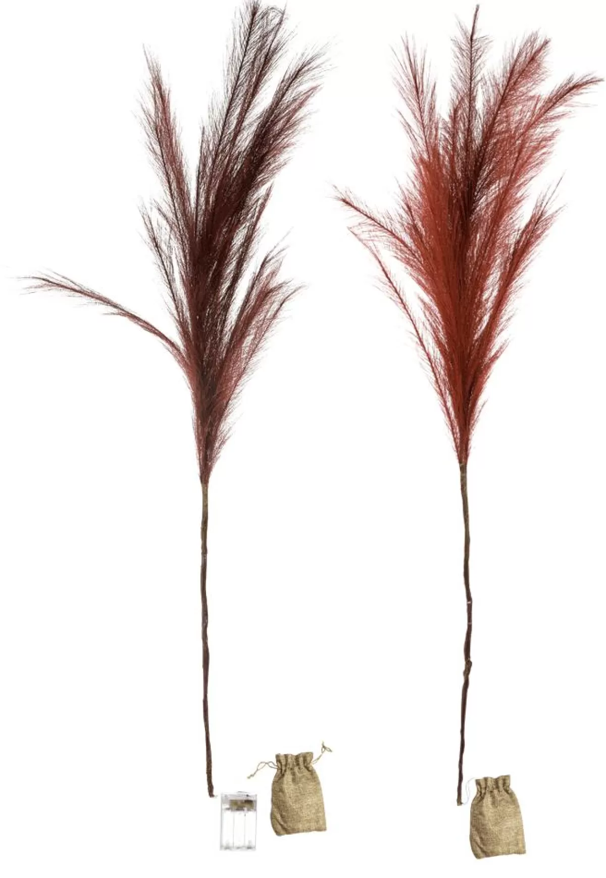 DecoWoerner LED Pampas Grass Tuft Set With Battery, 118 Cm Long