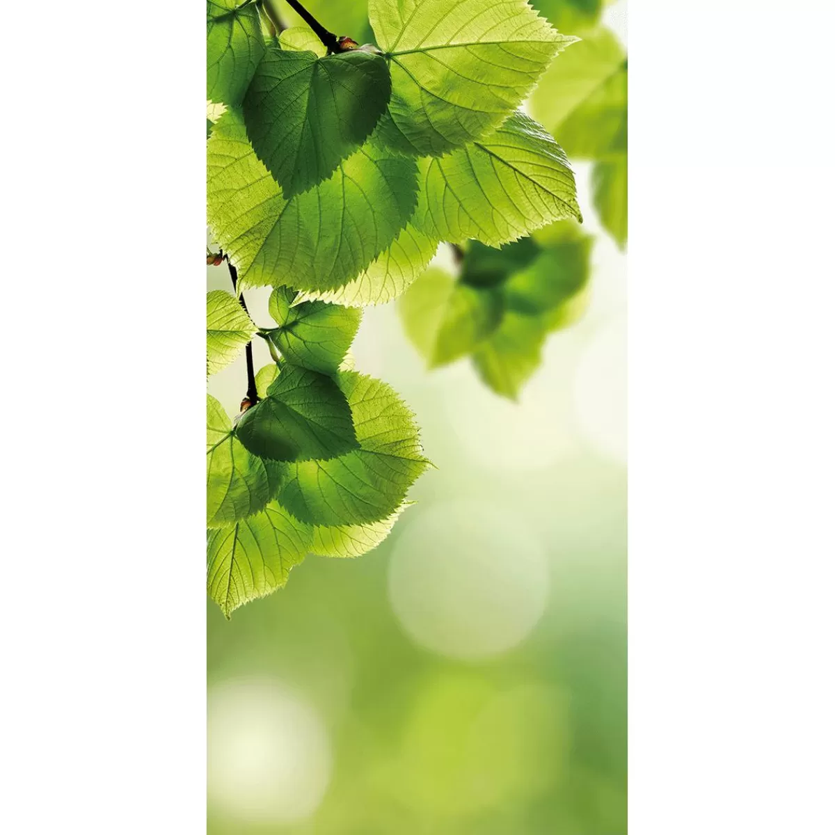 DecoWoerner Lightfast Natural Fibre Fabric Banner Birch Leaves Made Of Cotton 100 X 200 Cm