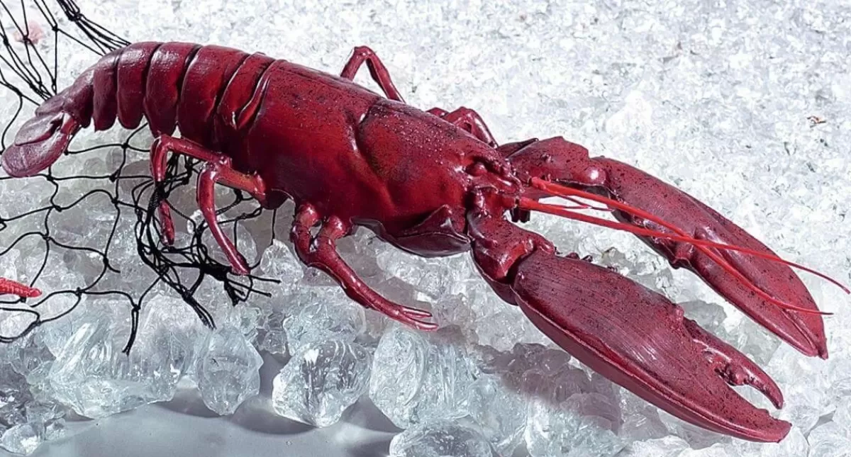 DecoWoerner Lobster Food Replica