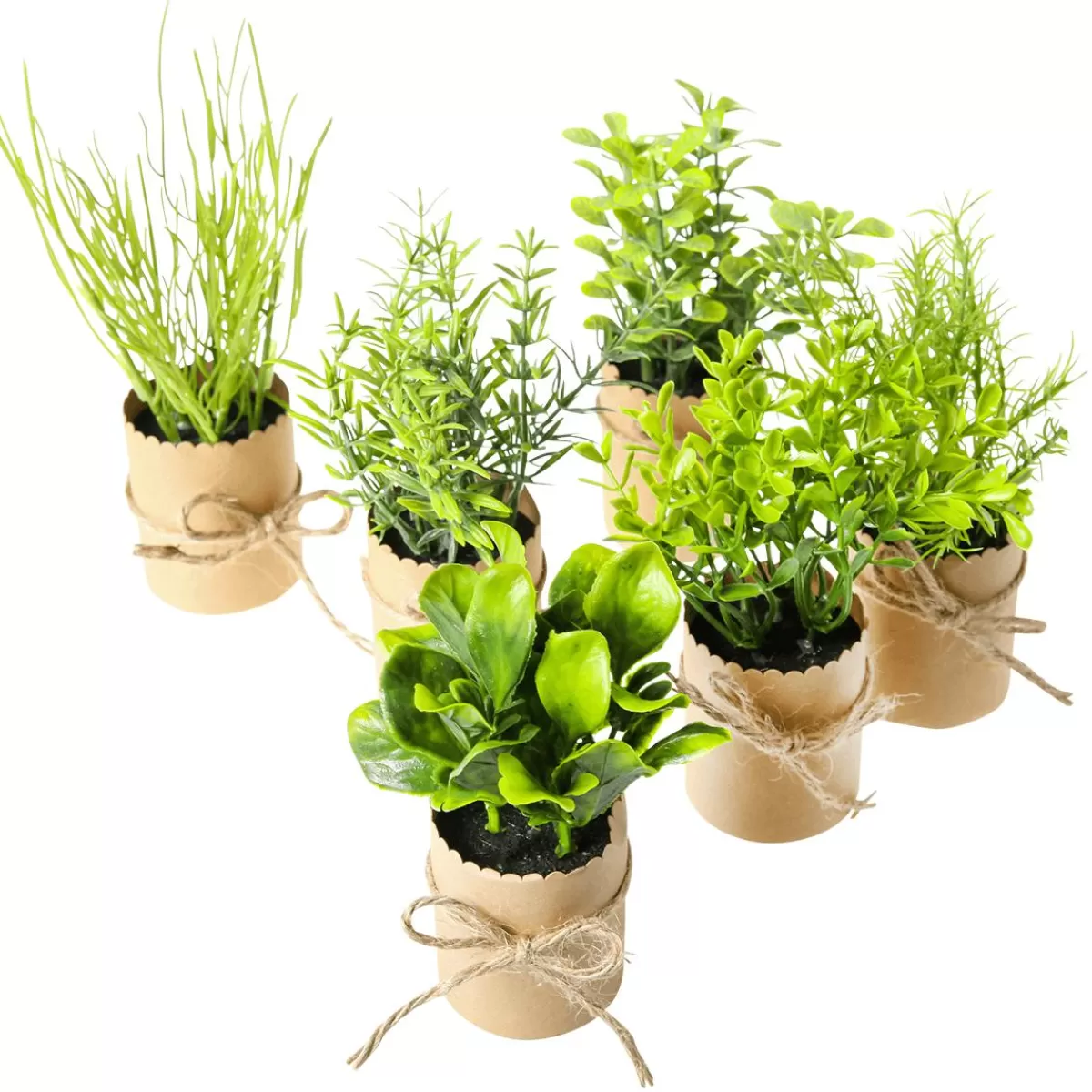 DecoWoerner Mini Herbs In Pot 6 Pieces 15 Cm