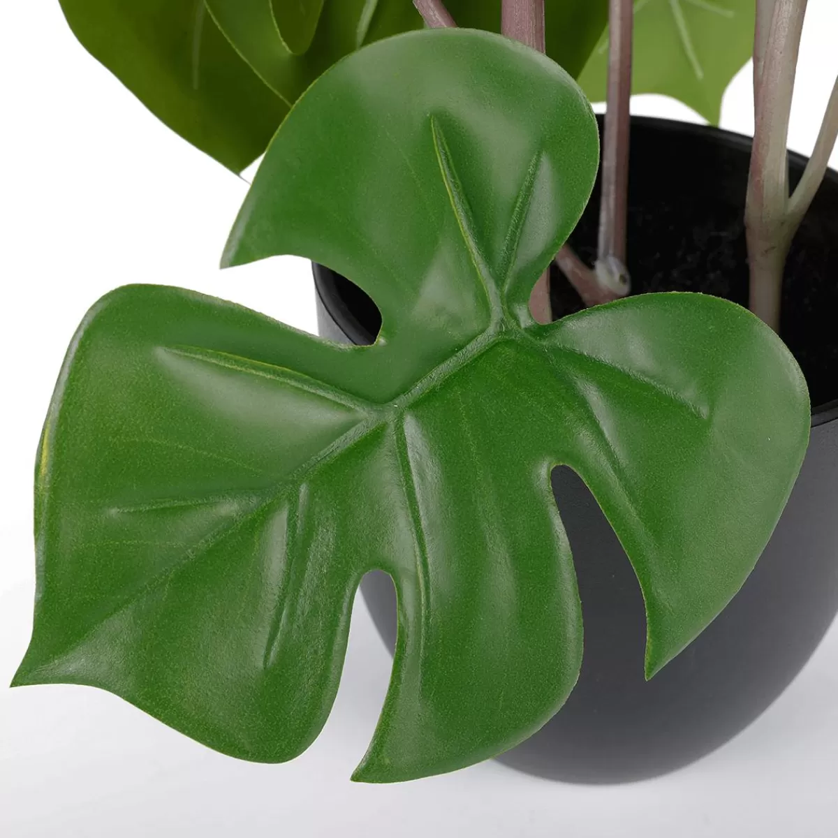 DecoWoerner Monstera In A Black Pot