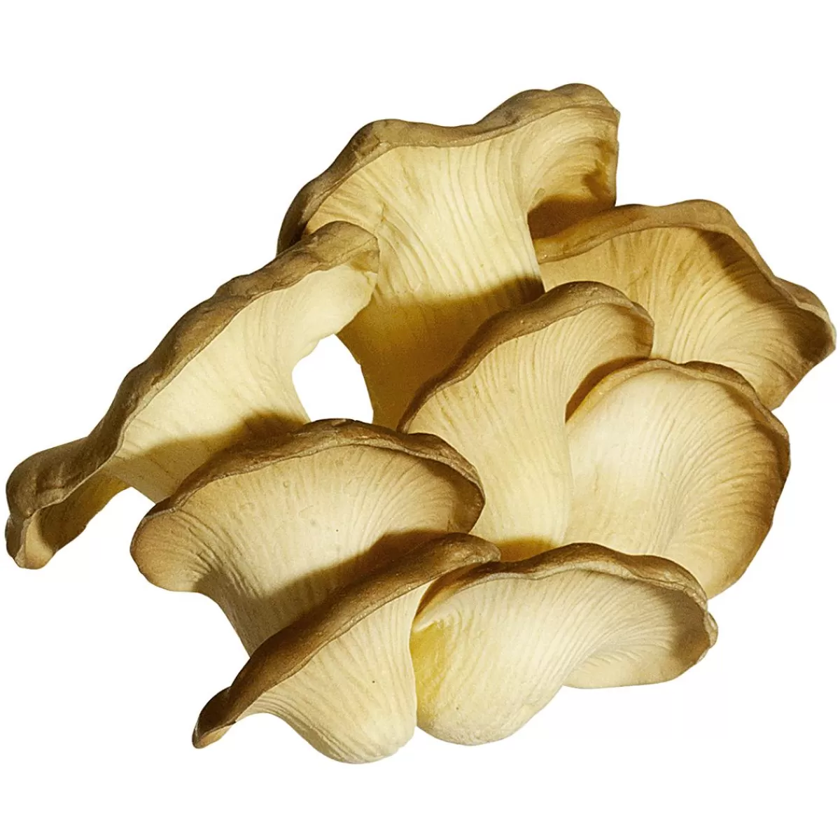 DecoWoerner Mushrooms Food Replica 18 Cm