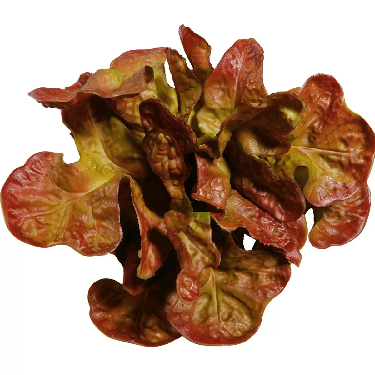 DecoWoerner Oak Leaf Lettuce Food Replica, Ø 23 Cm