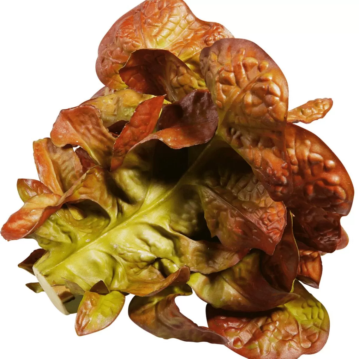 DecoWoerner Oak Leaf Lettuce Food Replica, Ø 23 Cm