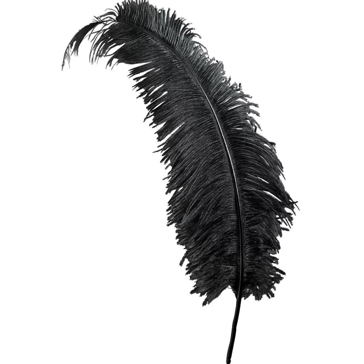 DecoWoerner Ostrich Feather