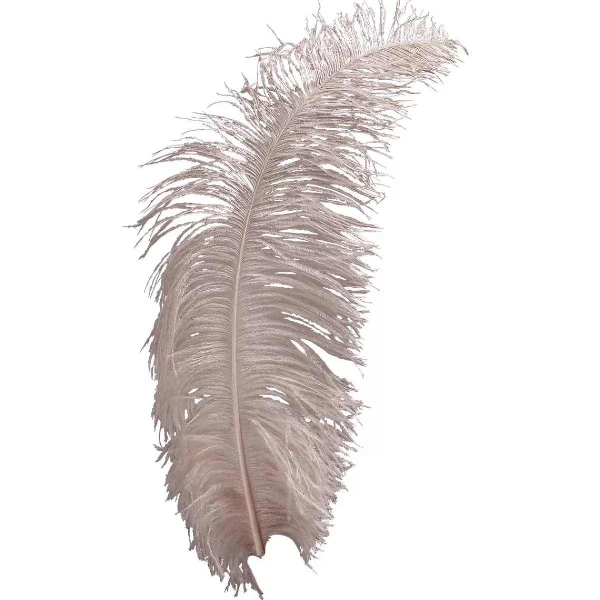 DecoWoerner Ostrich Feather Powder-coloured