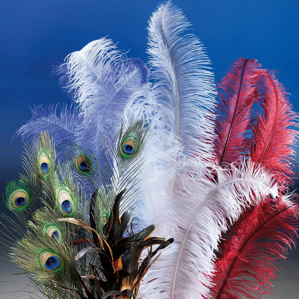 DecoWoerner Ostrich Feather Powder-coloured