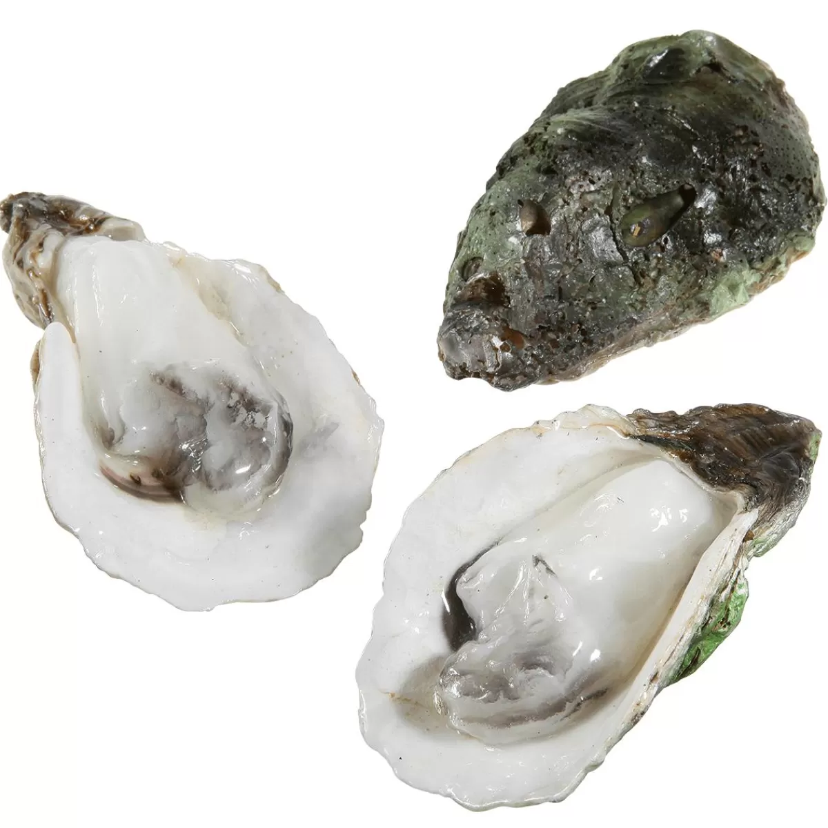 DecoWoerner Oyster Set á 3 Pieces Food Dummy