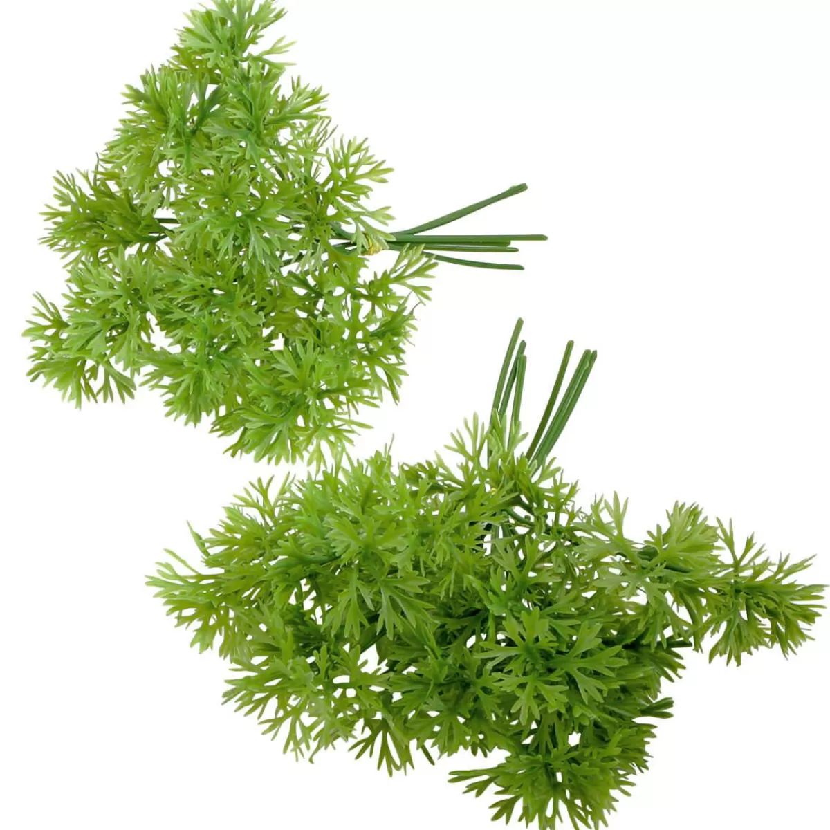 DecoWoerner Parsley Bunch Food Dummy