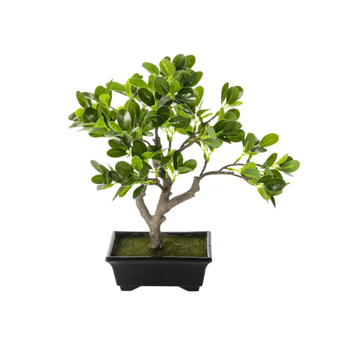 DecoWoerner Penny Leaf Bonsai Artificial Plant Potted 28 X 11 X 34 Cm (W X L X H)