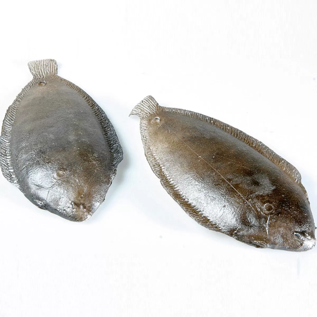 DecoWoerner Plaice Food Replica, 2 Pcs